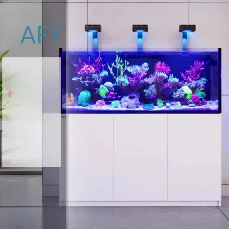 حوض أسماك زجاجي فاخر وحديث مبر - مراجعة Aquarium Fish Restaurant وسعره