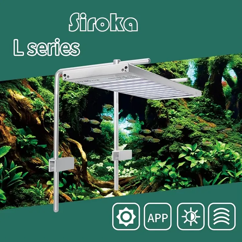 مصباح LED قابل للتعتيم بقوة 55 - مراجعة Aquarium Fish Sale وسعره