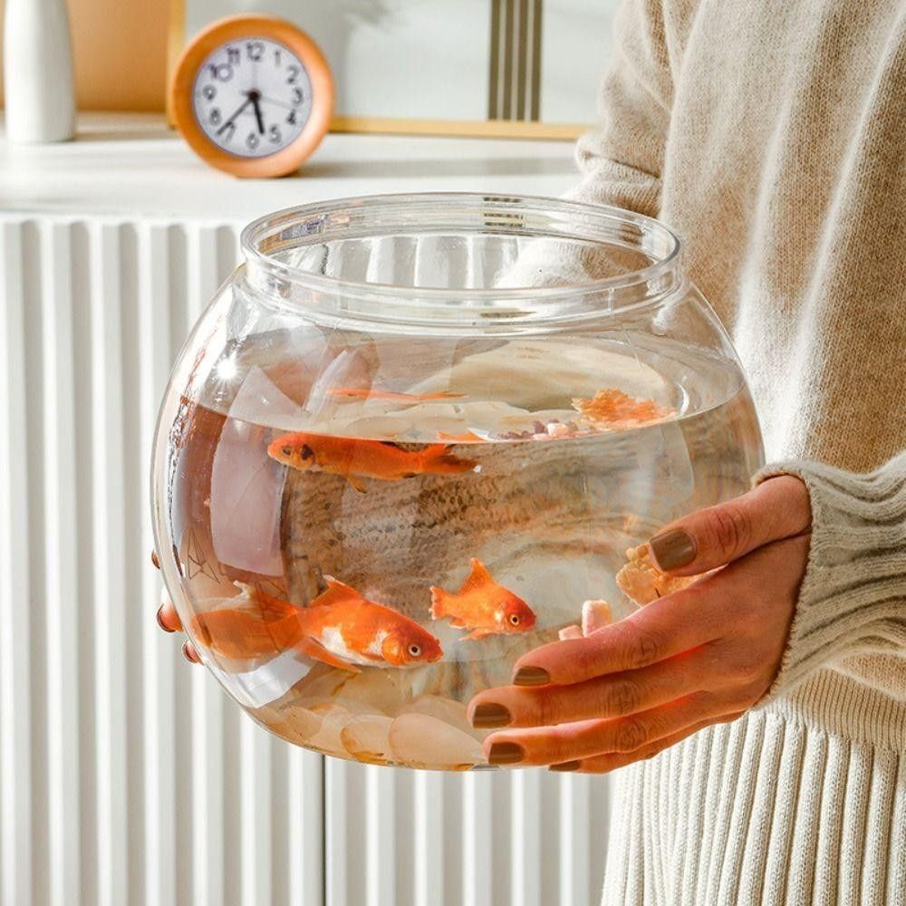 جديد شفاف خزان الأسماك جولة غي - مراجعة Aquarium Fish In Bowl وسعره