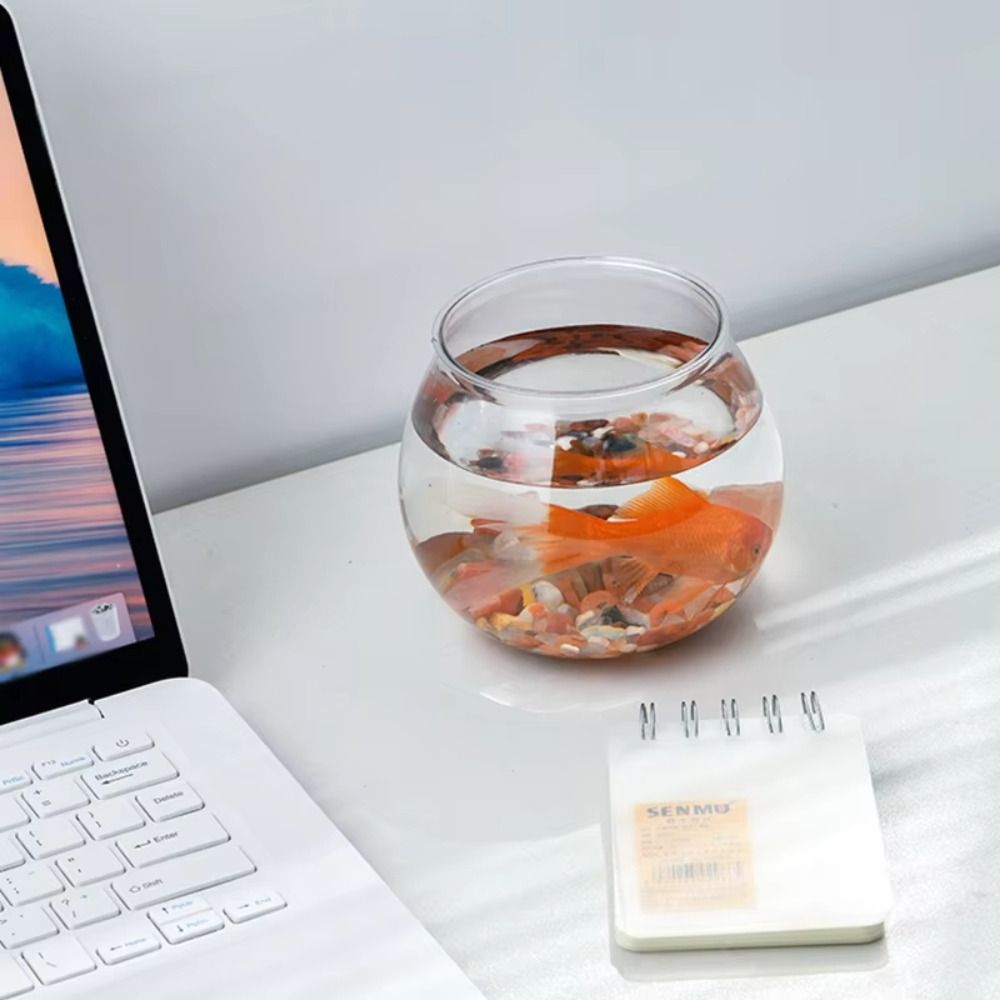جديد شفاف خزان الأسماك جولة غي - مراجعة Aquarium Fish In Bowl وسعره