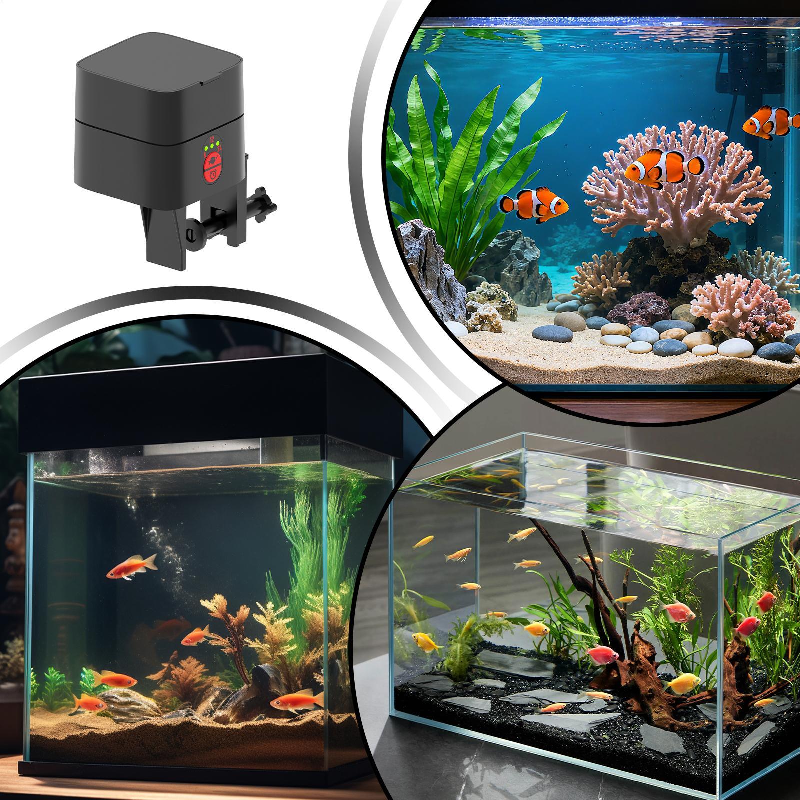 موزع طعام أوتوماتيكي للأسماك ف - مراجعة Aquarium Fish In Bowl وسعره