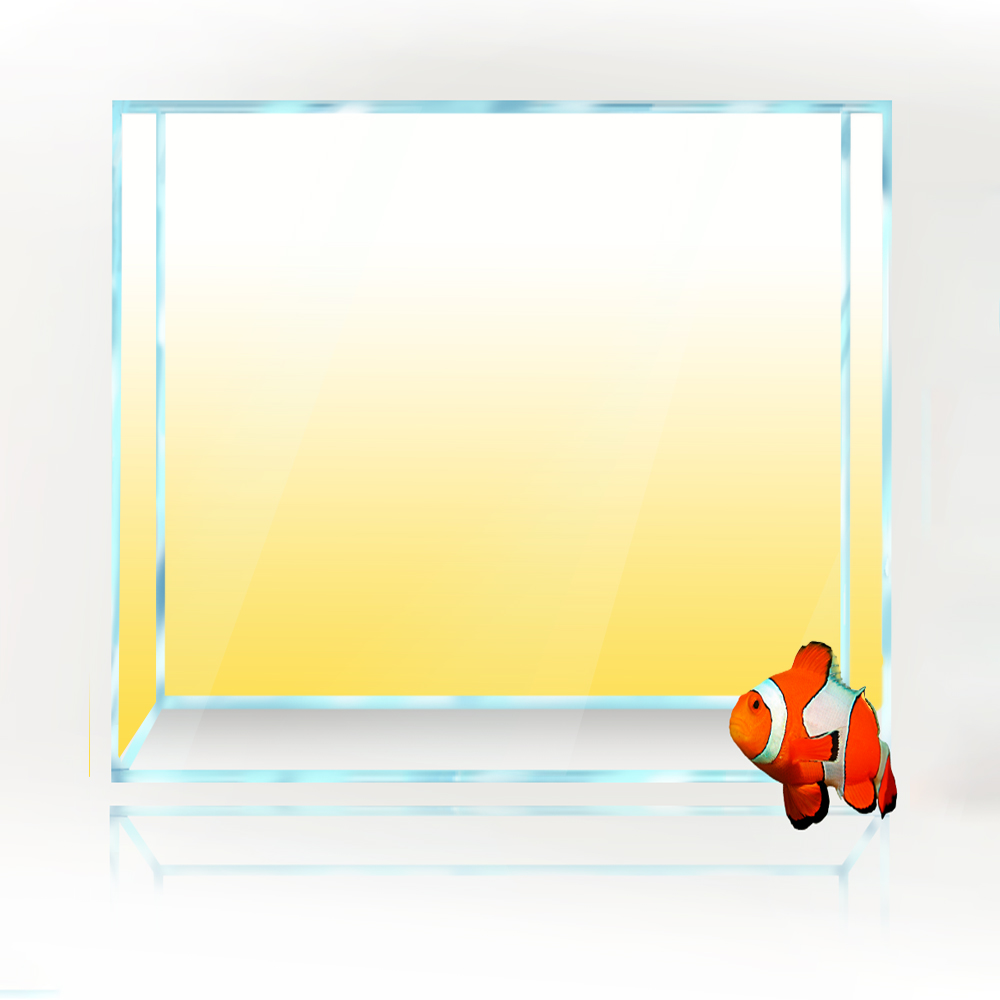 خلفية خزان الأسماك المربعة أبي - مراجعة Aquarium Fish Yellow And Black وسعره