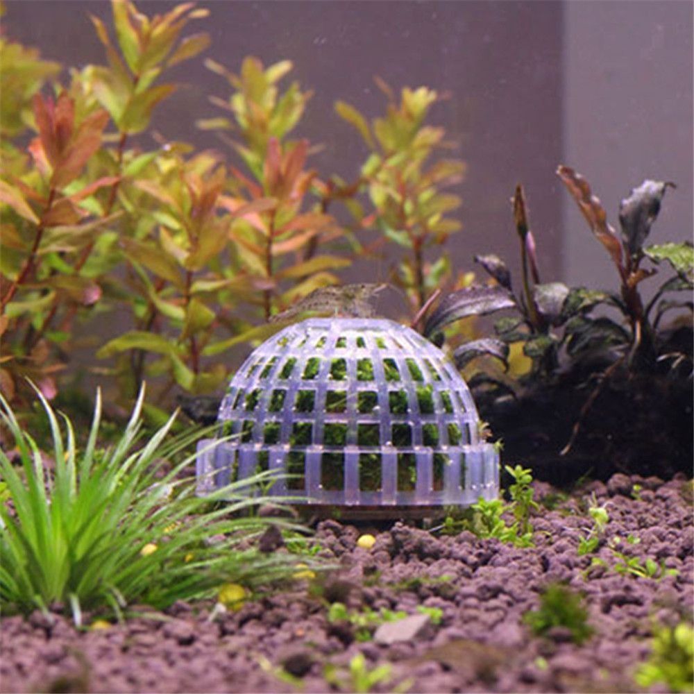 جديد البلاستيك تعليق الطحلب قب - مراجعة Aquarium Fish Tank Price وسعره