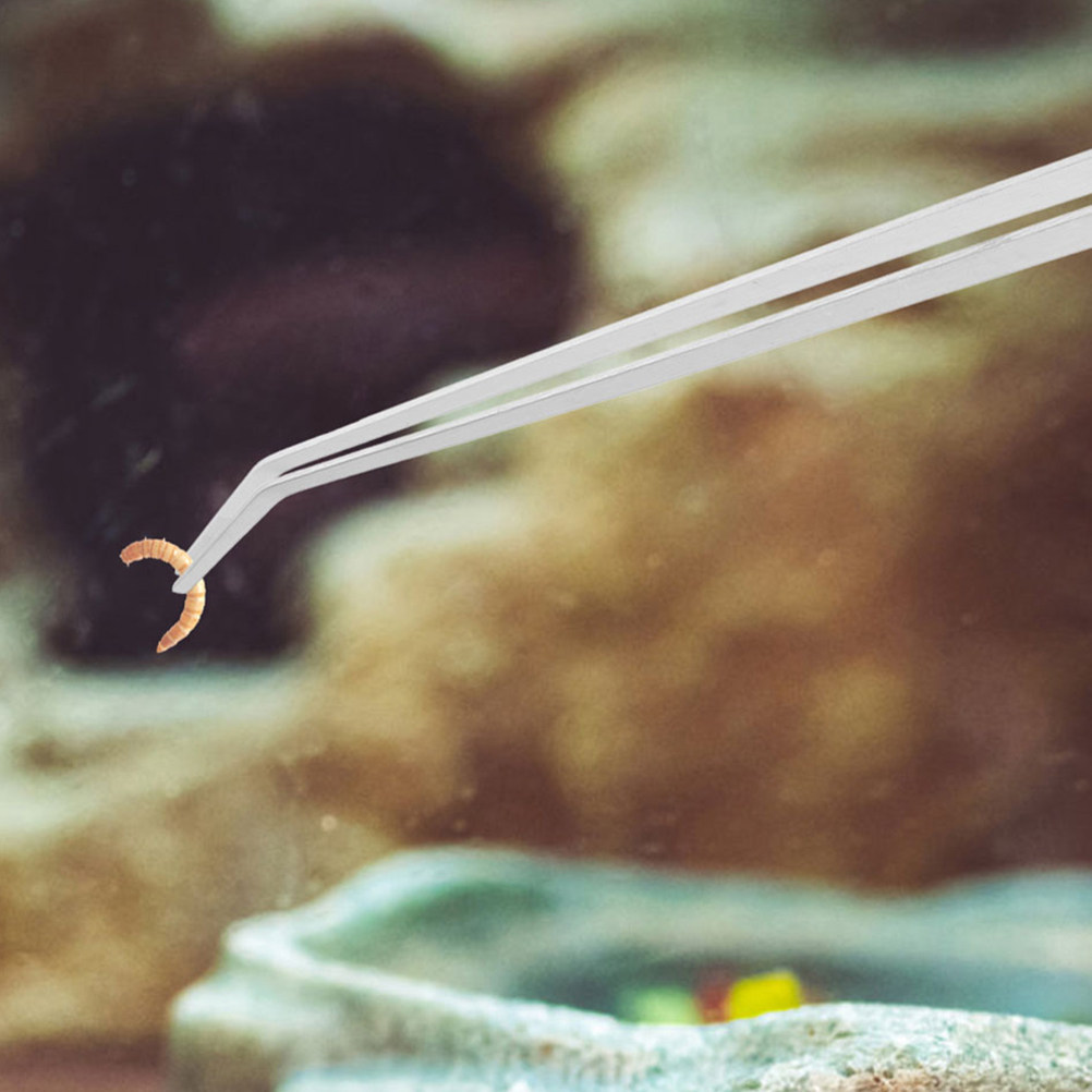 قطعتان من ملاقط تغذية الزواحف  - مراجعة Aquarium Fish Long وسعره