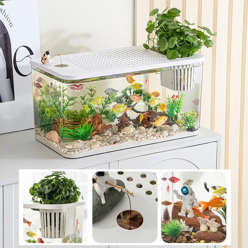 PET + ABS خزان الأسماك جديد شف - مراجعة Aquarium Fish In Bowl وسعره