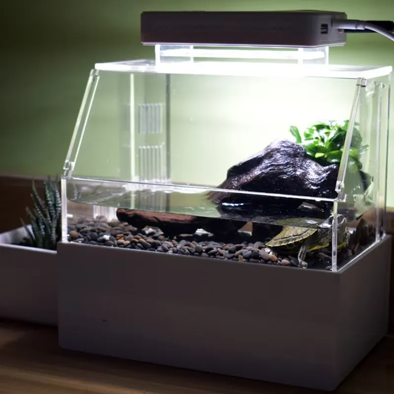 حوض أسماك مكتبي مخصص من ريلاكس - مراجعة Aquarium Fish Sale وسعره