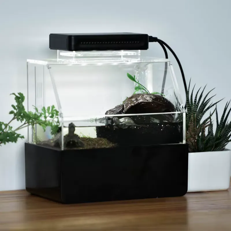 حوض أسماك مكتبي مخصص من ريلاكس - مراجعة Aquarium Fish Sale وسعره