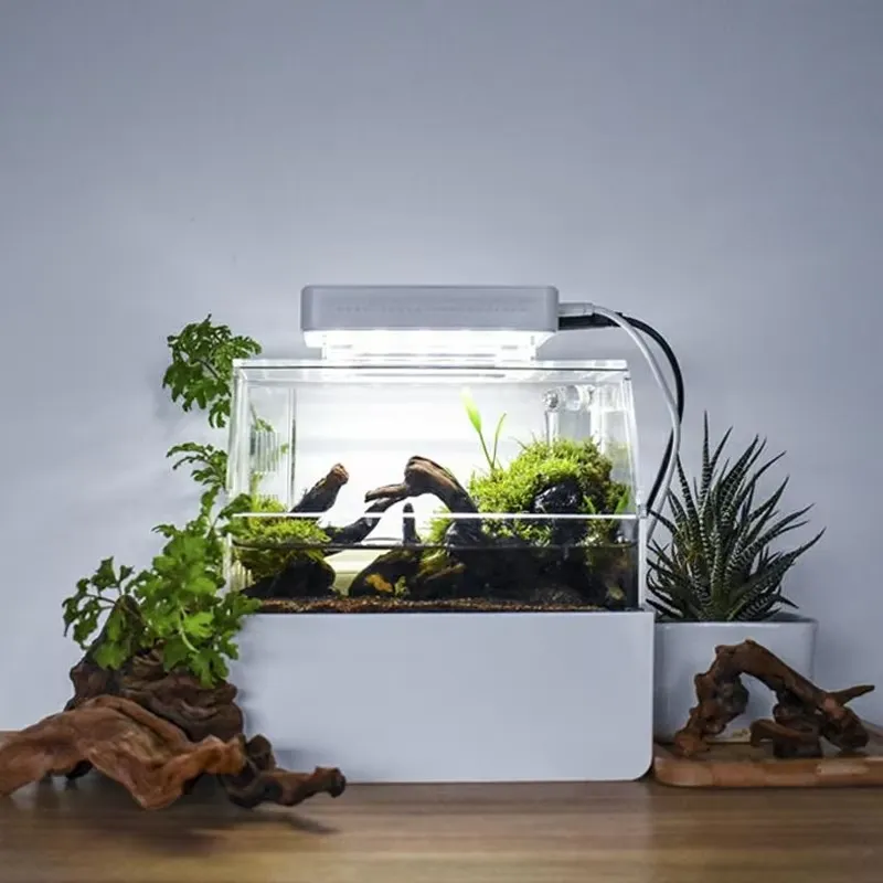 حوض أسماك مكتبي مخصص من ريلاكس - مراجعة Aquarium Fish Sale وسعره