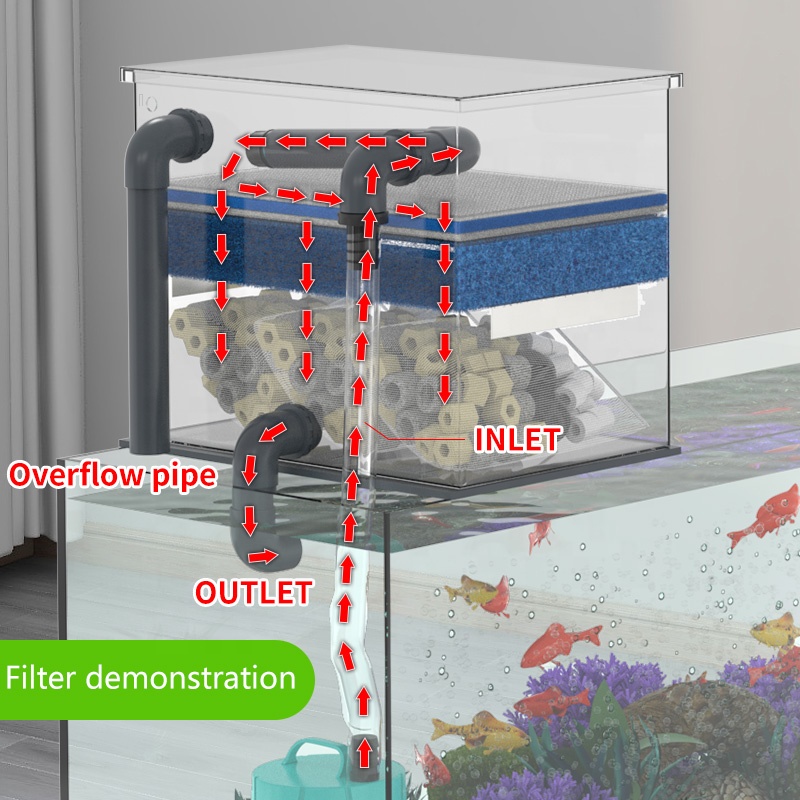 مبيعات المصنع مباشرة مرشح حوض  - مراجعة Aquarium Fish Sale وسعره